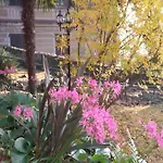 Clementina 住宿加早餐酒店 拉韦诺-蒙贝洛