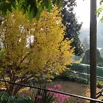 Clementina * 拉韦诺-蒙贝洛