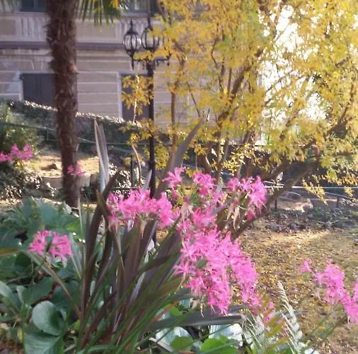 Clementina B&B 라베노-몸벨로