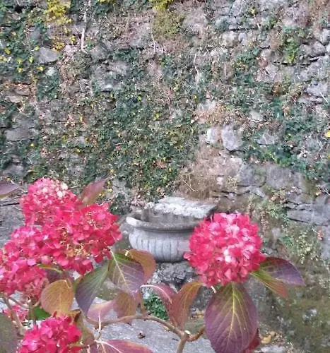 Bed & Breakfast Clementina *