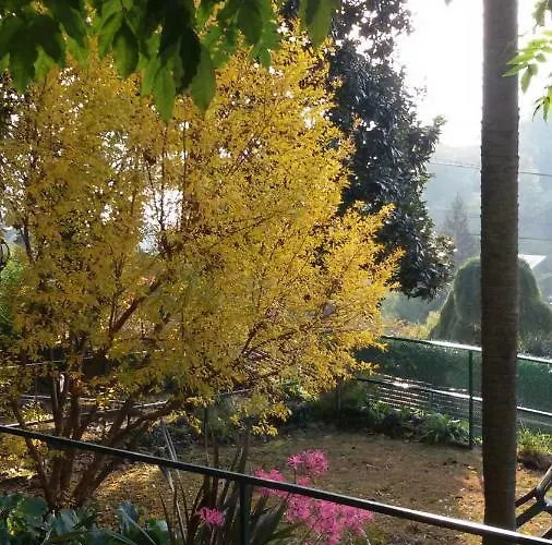 Clementina * Laveno-Mombello